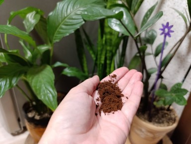 �������� ����: ������ �������� ��� ��������