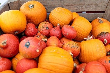 ��� ��������� ����� �� ����: ������� � ����������� ������