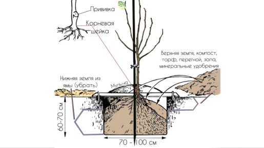 ����� � ����: ��� ��������� ������ �������� ������� ��� ��������� ������