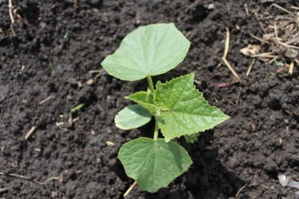 ��� ��������� ����������� ����� ��� ������� ��� �����