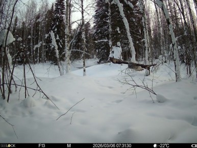 � ��������� �������� ����������� ����� ��������� �������, ��������� � ������� ����� ����