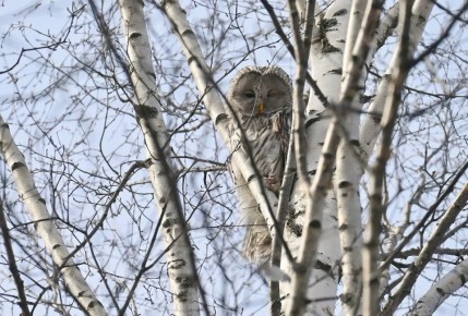 ������ ����! �������, 29 ������, � ���������� ����������� �����: 0...+2 �C, ����: +5...+7 �C