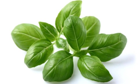 �������: ������ ����, ������� ����� � �����������