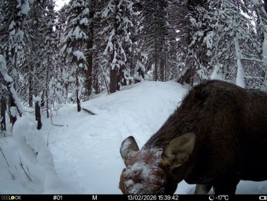 � ��������� �������� ����������� ����� �������� ����