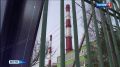 На этих выходных социальные сети жителей Республики были полны поздравлений, открыток и георгиевских лент, многие делились историями подвигов своих предков на фронте и в тылу