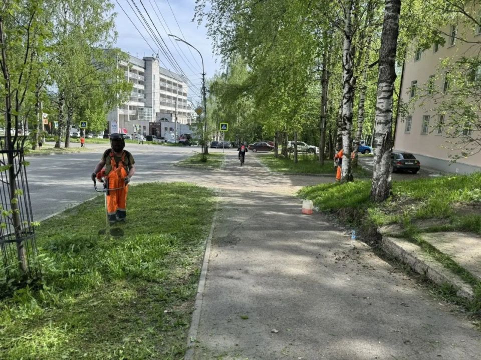 Максим Мартышин: Лето в этом году будет красивым