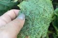��� �������� ��� �� ������� �� ��������� ������
