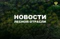 ТАСС: В Красноярском крае площадь лесных пожаров снизилась более чем на 53 тыс