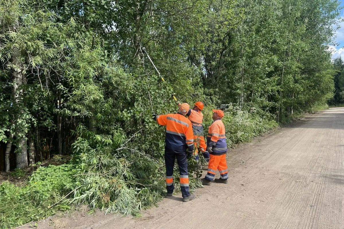 Погода не помеха: порядок в городе - ежедневная задача Погода не помеха: порядок в городе - ежедневная задача