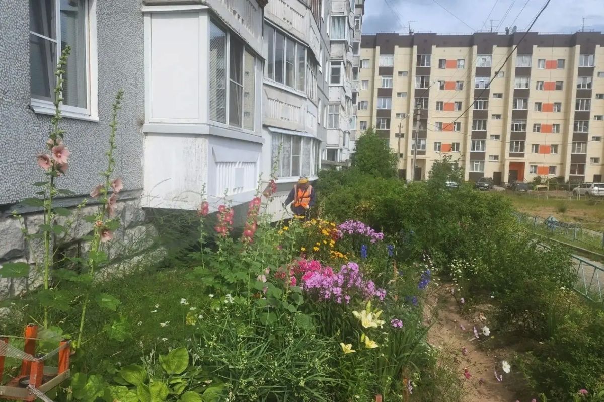 Погода не помеха: порядок в городе - ежедневная задача Погода не помеха: порядок в городе - ежедневная задача