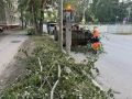 Максим Мартышин: Убираем город и днём, и ночью, чтобы вы чувствовали себя комфортно в любое время
