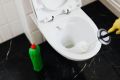 Когда стоит менять щетку для унитаза: советы экспертов по уходу