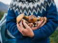 Как вырастить лесные грибы на даче — два простых метода