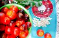 Помидоры с мятой и чесноком: как быстро заготовить вкусный зимний деликатес