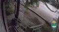 � ���������� �������� ������, ������������ ������������ ��������