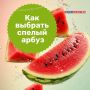 Время пришло: выбираем арбуз!