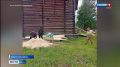 В селе Мошъюга завершила свою работу вторая экспедиция проекта «Общее дело»