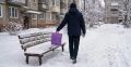 Сыктывкарец выслушал приговор за хищение пакетов с чужими покупками стоимостью 5 тыс