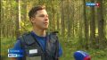 С начала года в Коми зарегистрировано более 50 происшествий, связанных с пропажей людей в лесах