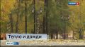 Синоптики поделились своими прогнозами на сентябрь