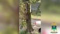 � ���������� ����������� ���������� �������������� � ����������� ����������