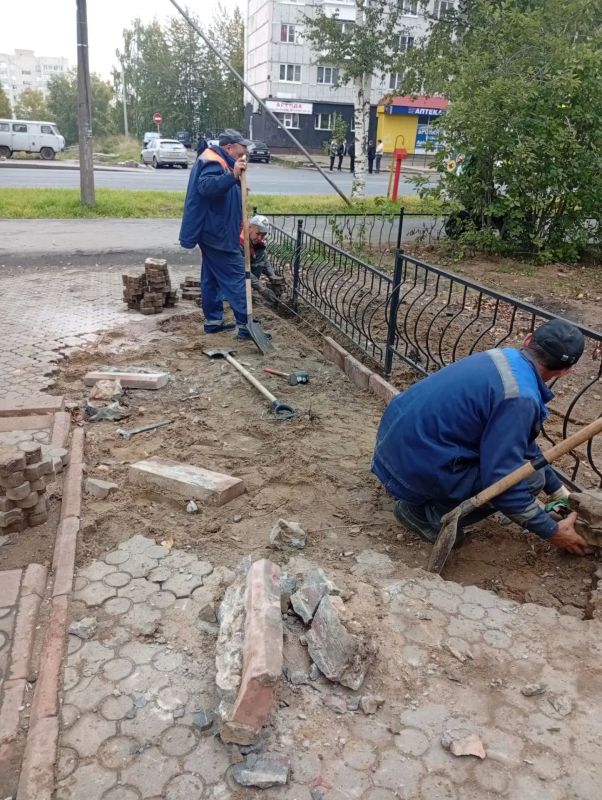 Максим Мартышин: Осень постепенно вступает в свои права, разбрасывая повсюду листву, и нам приходится прибираться за ней, параллельно выполняя все привычные задачи Максим Мартышин: Осень постепенно вступает в свои права, разбрасывая повсюду листву, и нам приходится прибираться за ней, параллельно выполняя все привычные задачи
