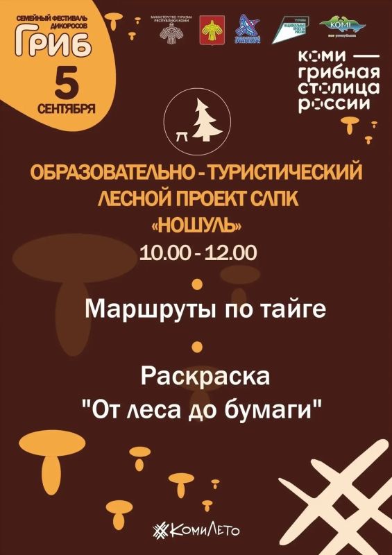 Грибное царство в самом центре города — возможно? Да! Грибное царство в самом центре города — возможно? Да!