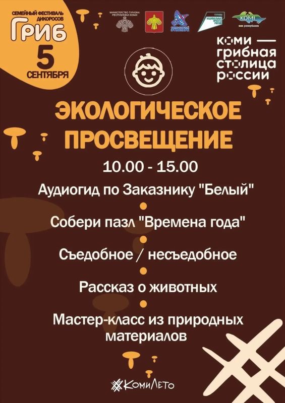 Грибное царство в самом центре города — возможно? Да! Грибное царство в самом центре города — возможно? Да!