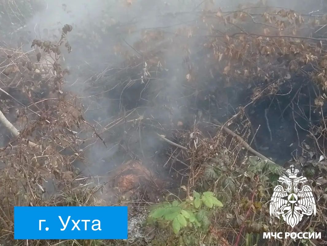 За #ДежурныеСутки подразделения пожарной охраны ликвидировали 4 пожара За #ДежурныеСутки подразделения пожарной охраны ликвидировали 4 пожара