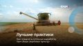В рубрике #лучшие_практики разбираем, как повысить суточную выработку при сборе зерновых культур