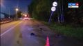 Напряжённые выходные: что попало в сводки автоинспекторов Коми