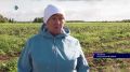 В новом телевизионном сезоне продолжаем нашу рубрику «Люди села»