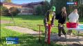 В Сыктывкаре продолжается Республиканский слёт школьных лесничеств