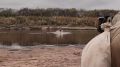 Максим Мартышин: Вчера на городском пляже в Кируле собрались сотни сыктывкарцев