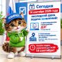 Сегодня последний день, когда можно определиться со способом голосования