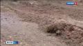 Самые проблемные участки автодороги Том-Керки отремонтируют в этом году