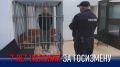 7 ��� ������� ������ ������ �� ������ ������������� ����������� ������������