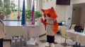 Кот Микуня тоже решил принять участие в выборах