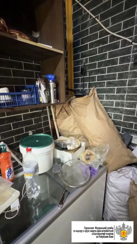 Деятельность предприятия общественного питания «Та самая шаурма» приостановлена в г. Усинске Деятельность предприятия общественного питания «Та самая шаурма» приостановлена в г. Усинске