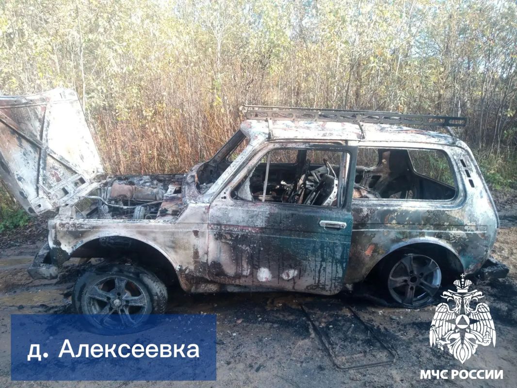 За #ДежурныеСутки огнеборцы Республики Коми ликвидировали 3 возгорания За #ДежурныеСутки огнеборцы Республики Коми ликвидировали 3 возгорания