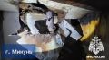 За #ДежурныеСутки огнеборцы Республики Коми ликвидировали 4 возгорания