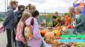 В Усть-Цильме на площади у администрации района состоялась ярмарка-фестиваль «Кабачок фест»