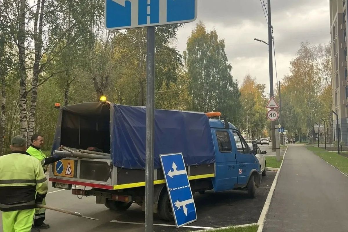 Максим Мартышин: Осень - красивая, но хлопотная пора Максим Мартышин: Осень - красивая, но хлопотная пора