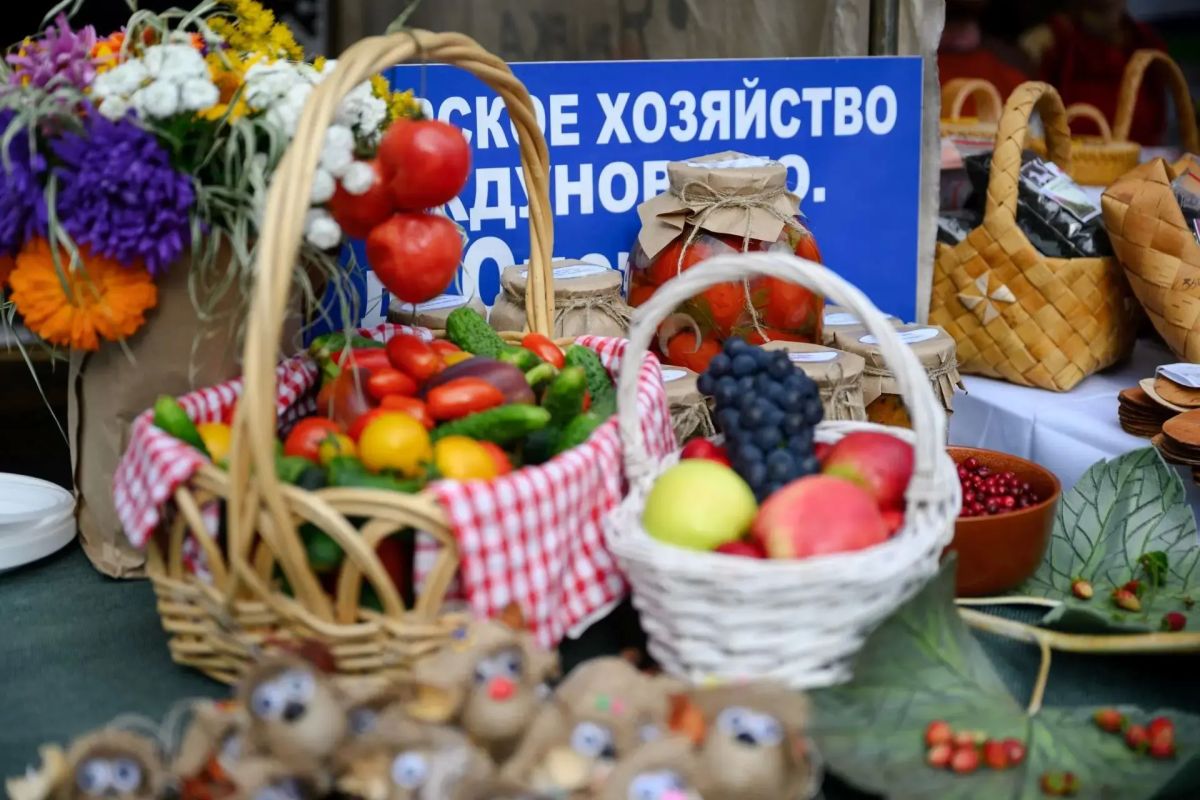 Ростислав Гольдштейн: В эту субботу в Сыктывкаре на Стефановской площади пройдет большая республиканская ярмарка «Урожай – 2026» Ростислав Гольдштейн: В эту субботу в Сыктывкаре на Стефановской площади пройдет большая республиканская ярмарка «Урожай – 2026»