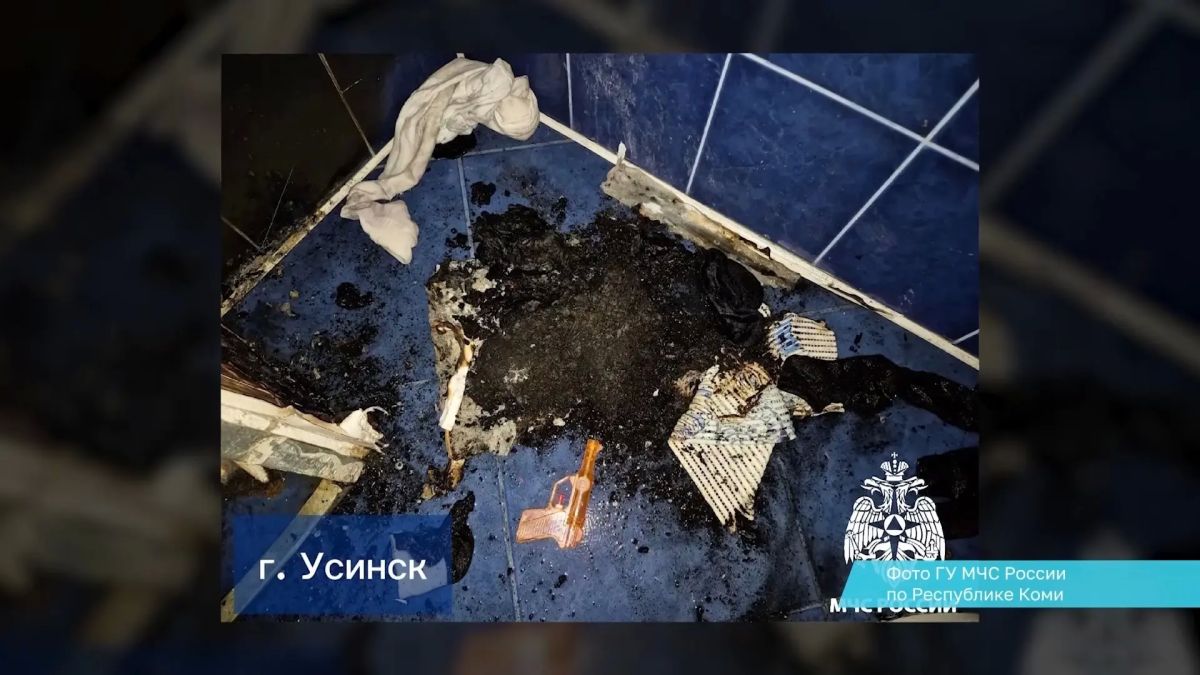 За дежурные сутки огнеборцы Коми ликвидировали 2 возгорания За дежурные сутки огнеборцы Коми ликвидировали 2 возгорания
