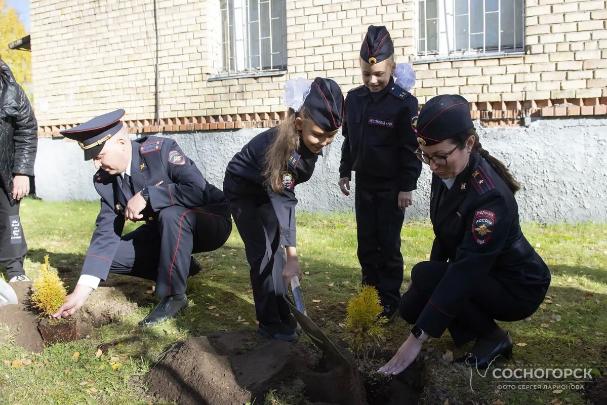 На территории ОМВД России «Сосногорский» заложена «Аллея преемственности поколений» На территории ОМВД России «Сосногорский» заложена «Аллея преемственности поколений»