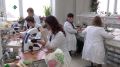 Студент-ученый нашел в Коми новые штаммы грибов рода Trichoderma