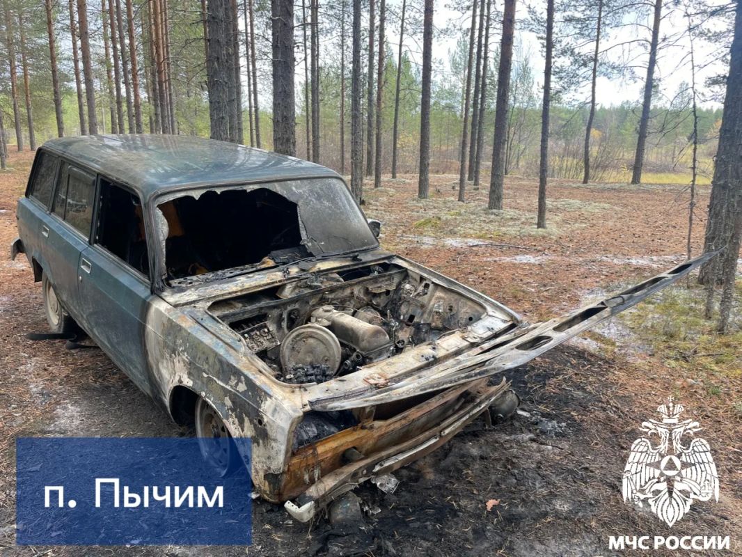 За #ДежурныеСутки огнеборцы Республики Коми ликвидировали 2 возгорания