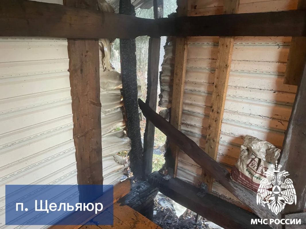 За #ДежурныеСутки огнеборцы Республики Коми ликвидировали 5 возгораний