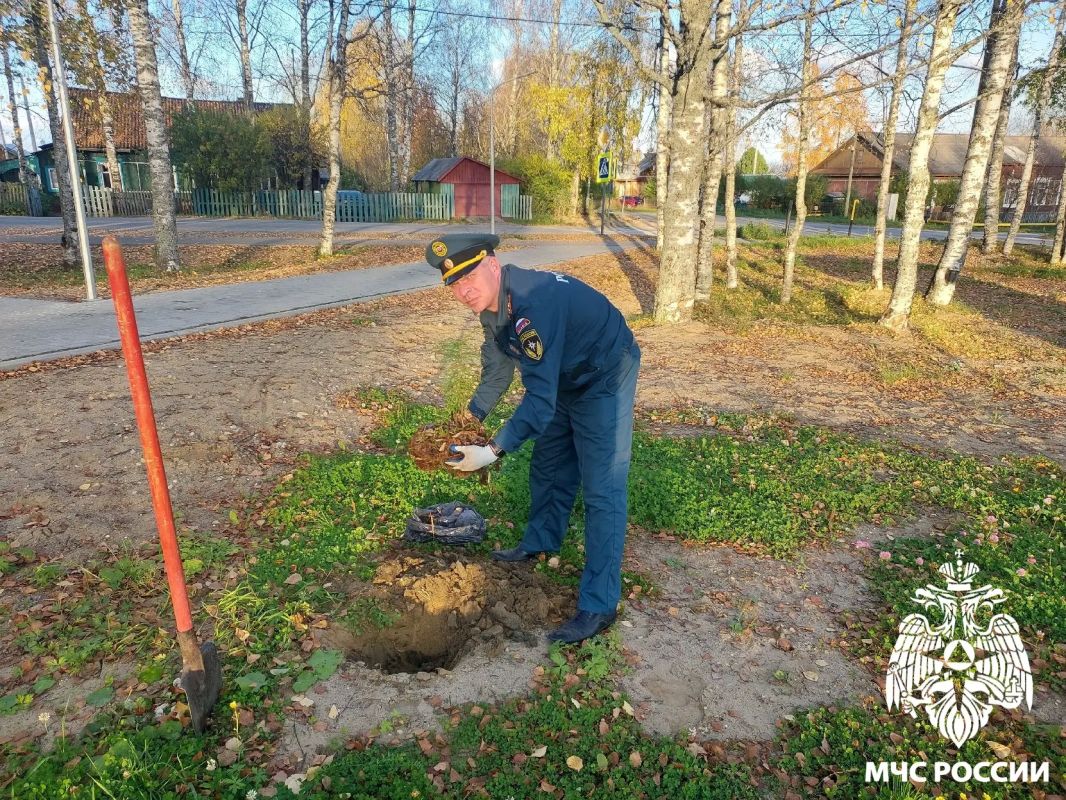 Вклад в будущее. В честь 100-летия органов государственного пожарного надзора сотрудники надзорной деятельности города Сосногорска и 28-й пожарно-спасательной части высадили на Аллее Славы у парка Победы саженцы кедра Вклад в будущее. В честь 100-летия органов государственного пожарного надзора сотрудники надзорной деятельности города Сосногорска и 28-й пожарно-спасательной части высадили на Аллее Славы у парка Победы саженцы кедра